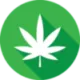Canna BiZZ | Club 420 Merchandise