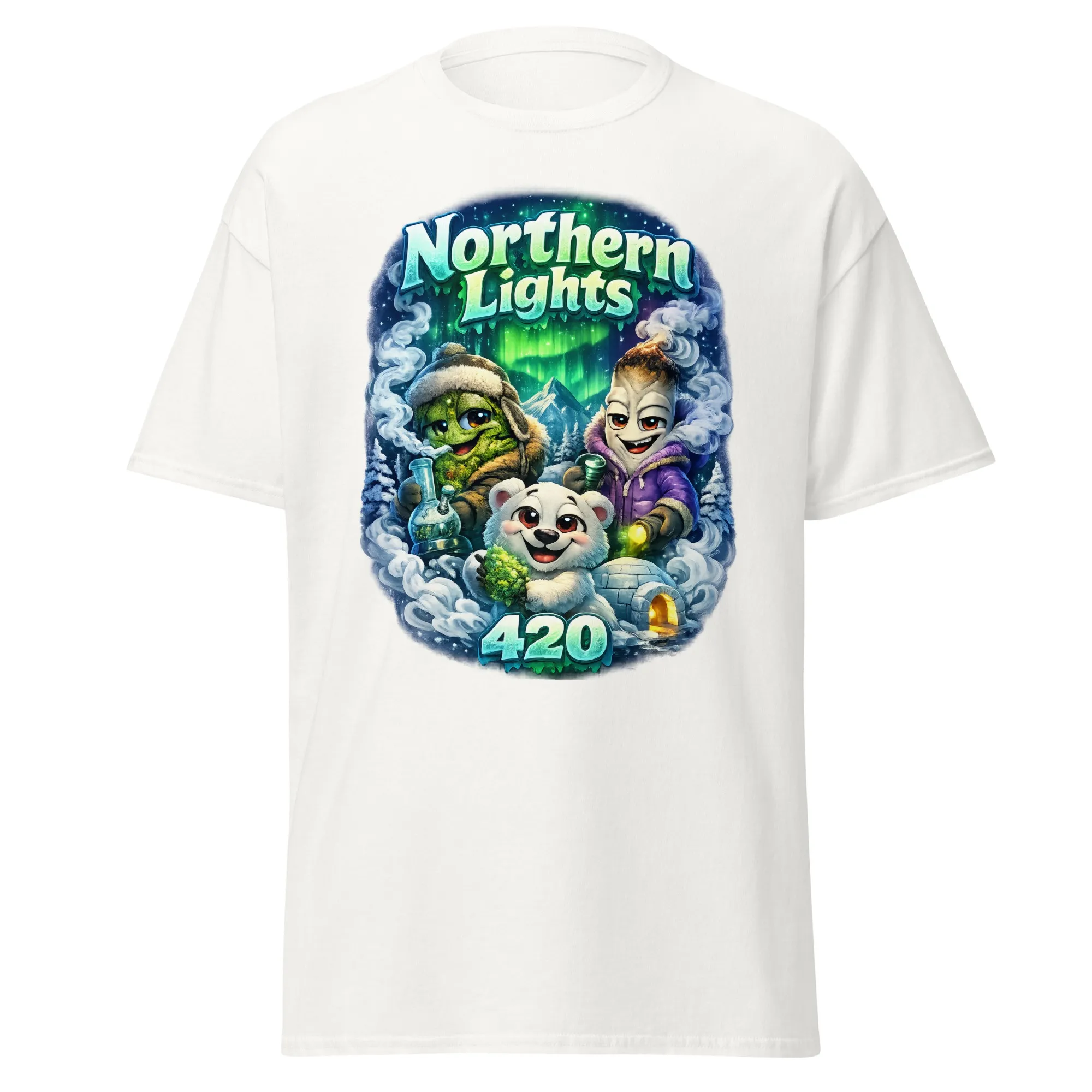 Northern Lights - Image 5